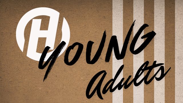 Young adult slide copy